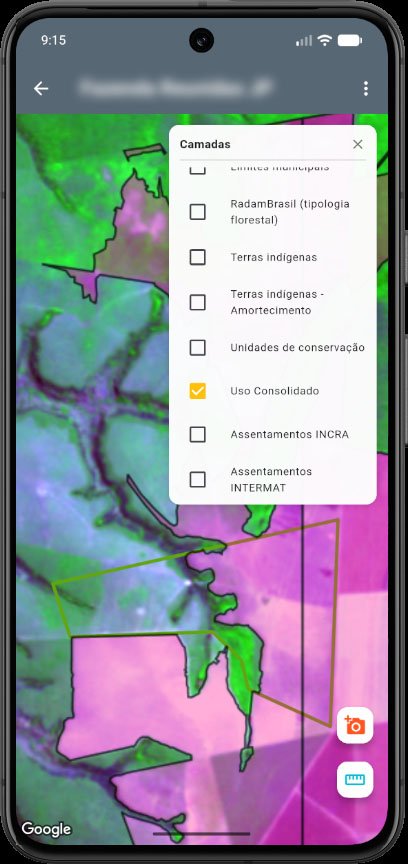 Painel de camadas oficiais sobre o mapa do imóvel